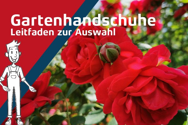 blog-omniprotect24-banner-2024-gartenhandschuhe